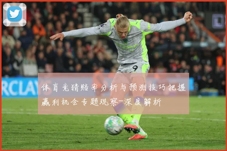 体育竞猜赔率分析与预测技巧把握赢利机会专题观察-深度解析